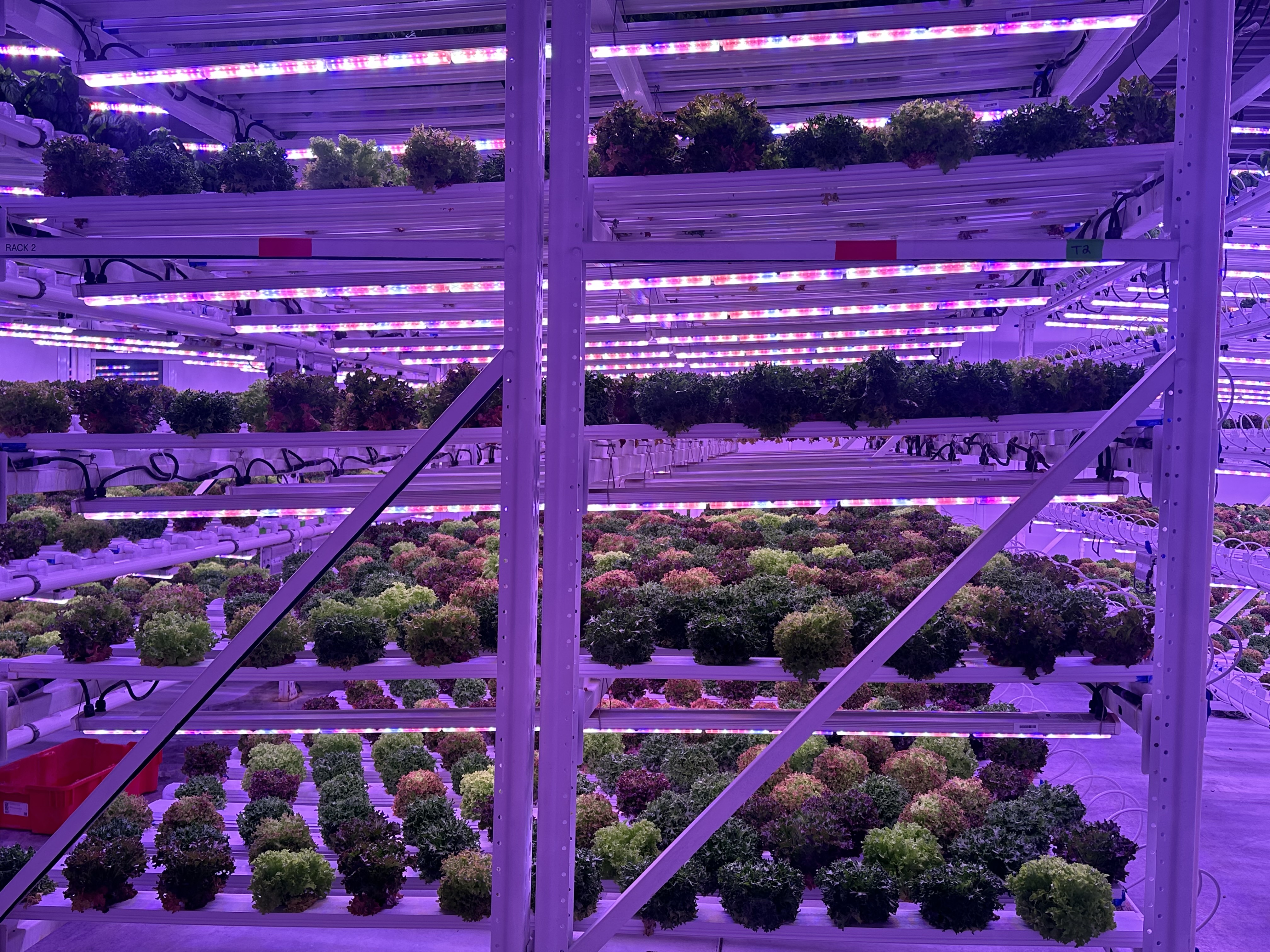 indoor hydroponic farm